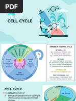 Copy of 24-25 Cell Cycle (4.6-4.7)