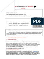 HISTÓRIA - Resumão provao paulista 2024