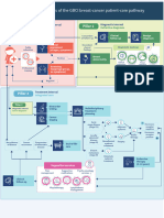 Patient Pathway Fig 4