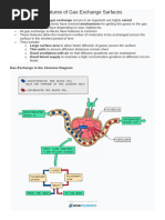 Features of Gas Exchange Surfaces