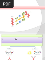 Glycolysis