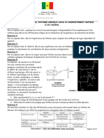 TD reflexe TS2 2023