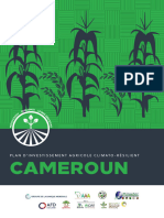 Investment_Report_Cameroon