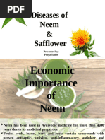 Diseases of Neem & Safflower