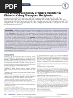 The Efficacy and Safety of Sglt2 Inhibitor in.33