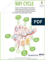 Edu Ovary Cycle