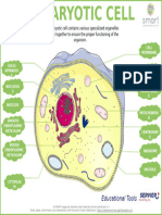 Edu Eukaryotic Cell