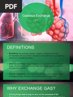 Gaseous Exchange 2024