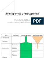 Gimnospermas y Angiospermas