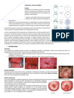 PATOLOGÍAS DEL CUELLO UTERINO