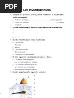 Examen Invertebrados