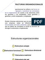 Tipos de Estructuras Organizacional (Disney)