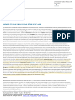 La Base Celular y Molecular de La Neoplasia