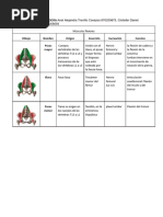 Musculos de la cadera LOCOMOTOR