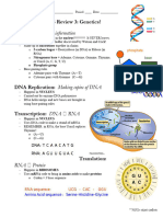 Kami Export - Kamilly Do Nascimento - Mcas Review 3 Genetics 2