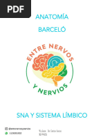 SNA Y SISTEMA LÍMBICO