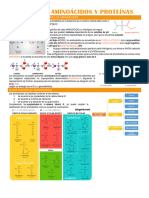 Guía N°10. Amonoácidos y Proteínas