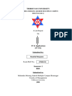 Lab Report