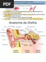 6- AFECÇÕES DA ORELHA EXTERNA E MÉDIA