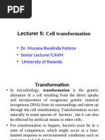 Lecture 5. Cell Transformation