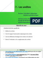 06_uvéites_INFSS