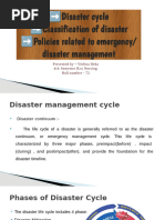 Disaster cycle