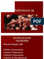 Staphylococcus SP Meso