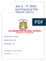 IT Practical File Class 10