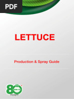 Lettuce