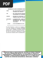 Informe_N°02_DE_SEGURIDAD_EMER