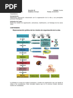 CONTENIDOS DE DIDACTICA