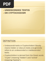 Undescended Testis