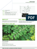 Japanese Knotweed Identification Sheet