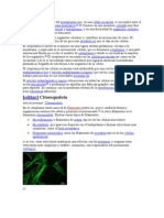 Citoplasma y Carioplasma