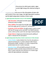 Photosynthesis-grade-11-1