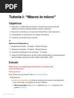 macromoléculas e catálise enzimática