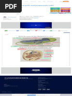Eukaryotic and Prokaryotic Cells Worksheet Live Worksheets