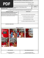 Reporte Marzo Cjpf