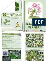 CATALOGO-PLANTAS/taller de Empleo