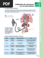 L’adaptation du nouveau-né à la vie extra-utérine