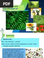 BIODIVERSITY AND CLASSIFICATION IN PLANTS