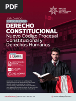 Brochure Diplomado Derecho Constitucional