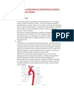 Trabajo Sobre La Anatomia de Las Arterias Del Tronco