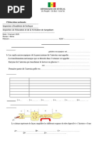 D2 SVT 4e.  SGK 2025. officiel