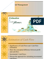 Cash Flow Estimation