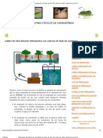 Explicación Del Sistema de Raíz Flotante en Tubos de PVC (Una Clase de Cultivo Hidroponico Sin Tierra