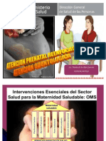 Atencion Prenatal Reenfocada