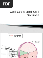 Cell Cycle and Cell Division (1)