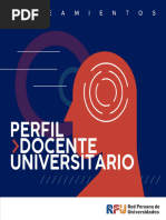 Lineamientos Del Perfil Del Docente Universitario RPU-18 Ccesa007