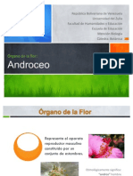 Órgano de La Flor: Androceo